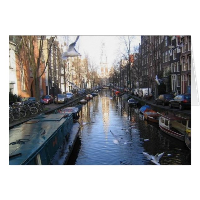 Gulls (Front Horizontal)