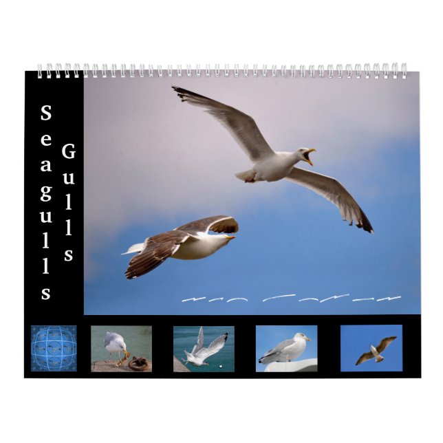 Gulls and Seagulls 12 month calendar (Cover)