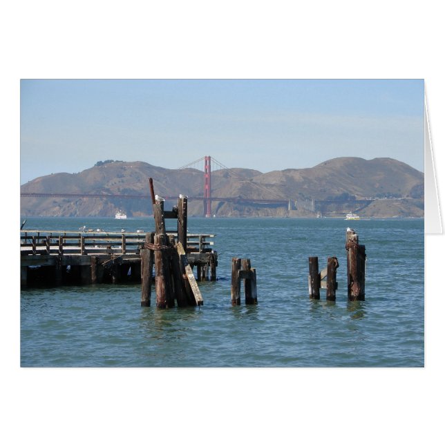 Gulls at San Francisco Bay Pier (Front Horizontal)