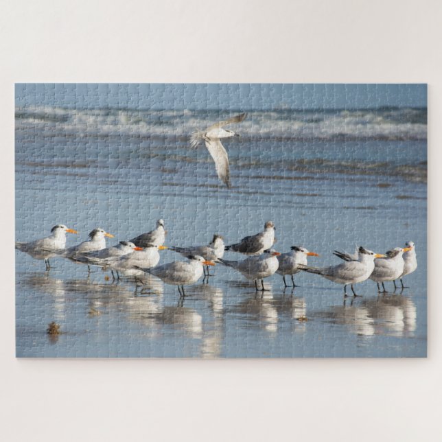 Gulls at the Florida beach Jigsaw Puzzle (Horizontal)