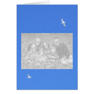 gulls, family_horz_placeholder
