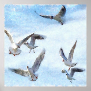 Gulls In Flight Watercolor Poster