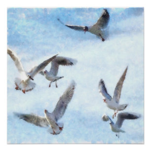 Gulls In Flight Watercolor Poster