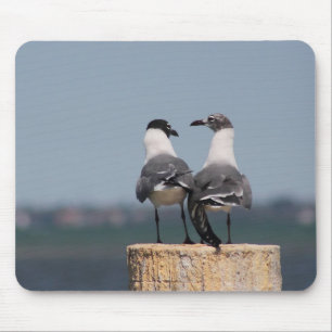 Gulls Mousepad