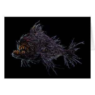 Gully Grouper