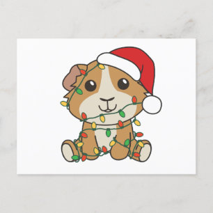 Guniea Pig Christmas Winter Animals Holiday Postcard
