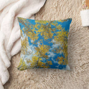 Gunnison National Forest Colorado Cushion