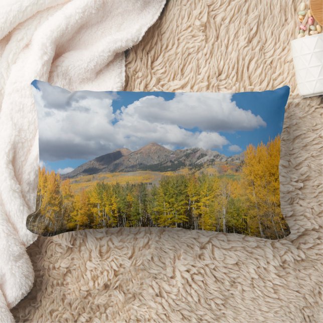 Gunnison National Forest, Colorado Lumbar Cushion (Blanket)