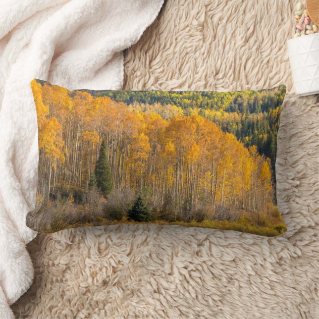 Gunnison National Forest Lumbar Cushion (Blanket)