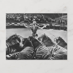 Gunther Gebel-Williams 1969 Postcard