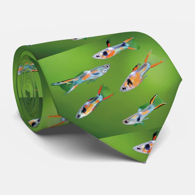 Guppy tie (Rolled)