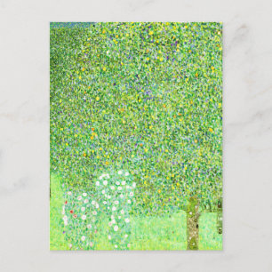 Gustav Klimt, rose bushes under the trees Postcard