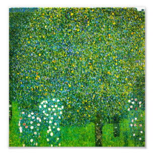 Gustav Klimt Roses Under The Pear Tree Photo Print