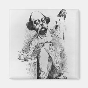 Gustave Flaubert  Dissecting Madame Bovary Magnet