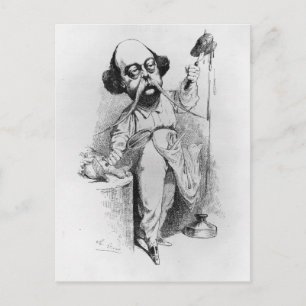 Gustave Flaubert  Dissecting Madame Bovary Postcard