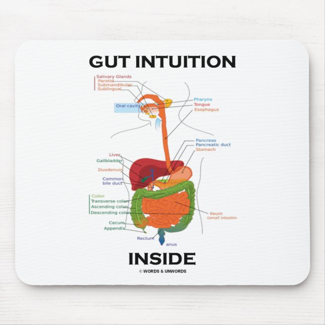 Gut Intuition Inside (Digestive System Humour) Mouse Pad (Front)