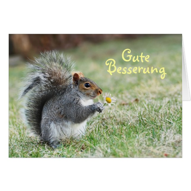 Gute Besserung Cute Squirrel Card (Front Horizontal)