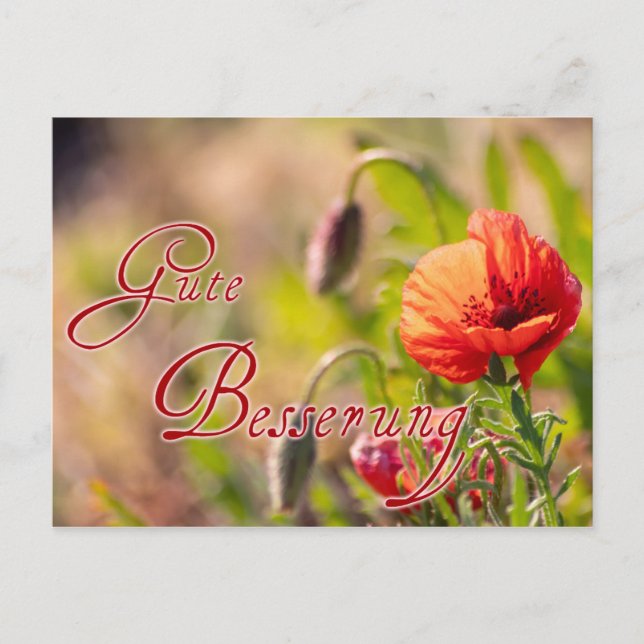 Gute Besserung für Deine lieben Menschen! Postcard (Front)