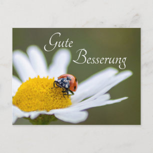 Gute Besserung mit Glücks-Marienkäfer Postcard