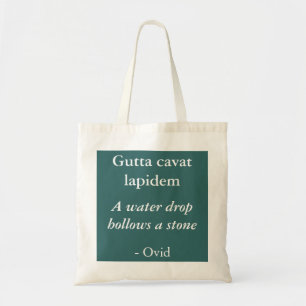 Gutta cavat lapidem tote bag