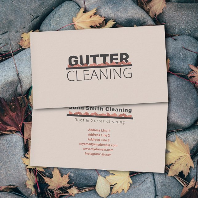 Gutter Cleaning Business Card (Gutter Cleaning Business Card)