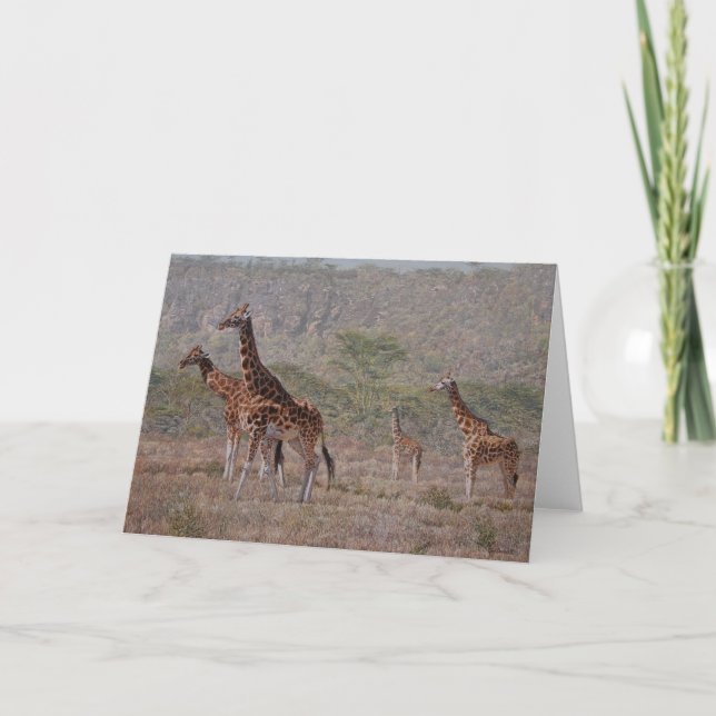 Guy Combes Wildlife Art Greeting Cards (Front)