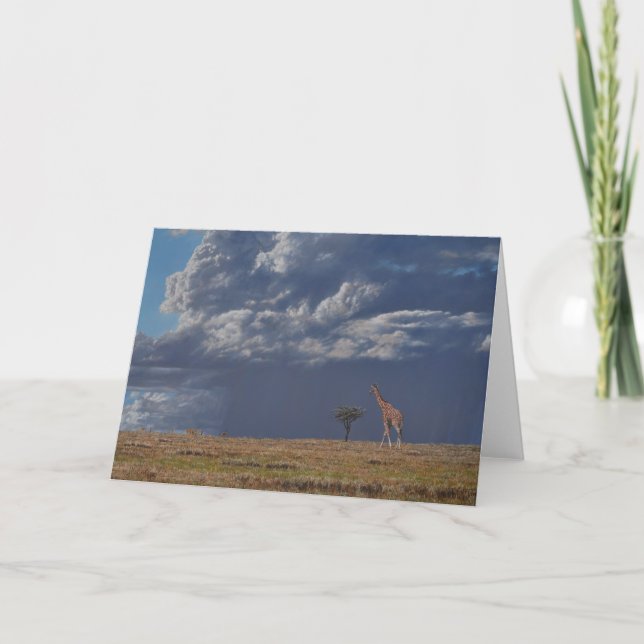 Guy Combes Wildlife Art Greeting Cards (Front)