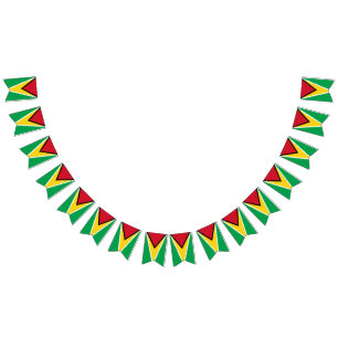 Guyana flag 