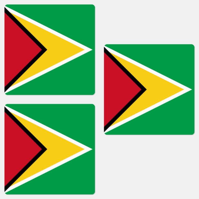 Guyana Flag (Group)