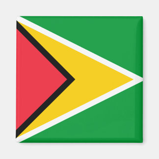 Guyana Flag Magnet