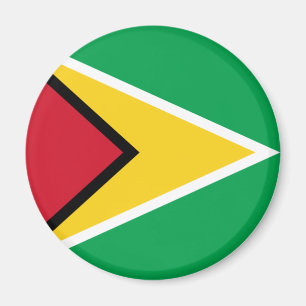 Guyana flag  magnet