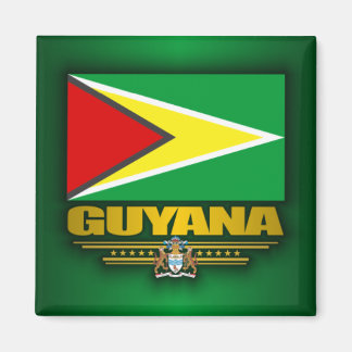 Guyana Flag Magnet