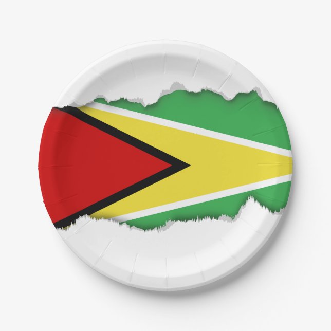 Guyana Flag Paper Plate (Front)