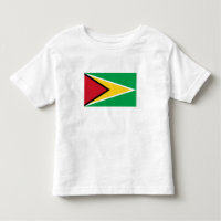 Guyana Flag