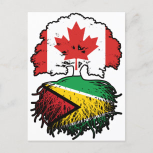 Guyana Guyanese Canadian Canada Tree Roots Flag Postcard