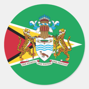 Guyanese Flag & Coat of Arms, Flag of Guyana Classic Round Sticker