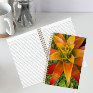Guzmania Bromeliad Plant Floral Notebook