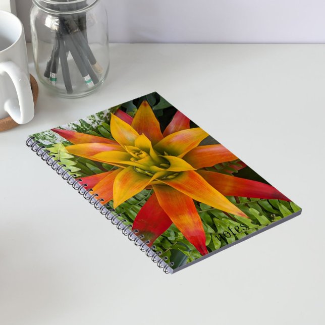 Guzmania Bromeliad Plant Floral Notebook (In Situ)