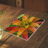 Guzmania Bromeliad Plant Floral