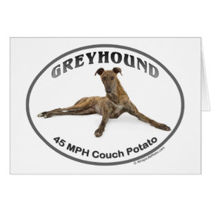 GVV 40MPH Couch Potato