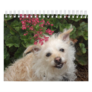 Gwendolyn 2015 Calendar