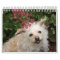 Gwendolyn 2015 Calendar