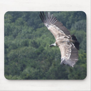 Gyps fulvus flying mouse pad