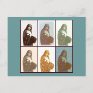 Gypsies 6 postcard