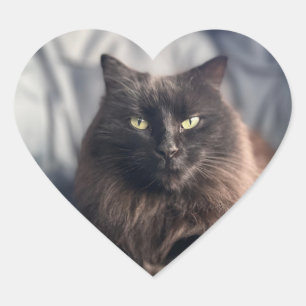 Gypsy - Black Cat Stickers