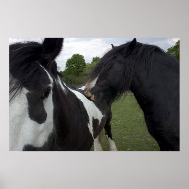 Gypsy Boys Poster (Front)