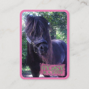 Gypsy - Business Card