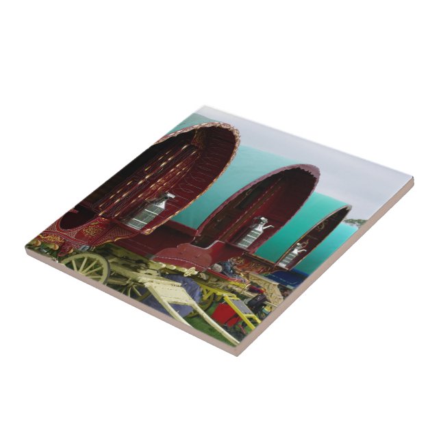 Gypsy caravan tile (Side)