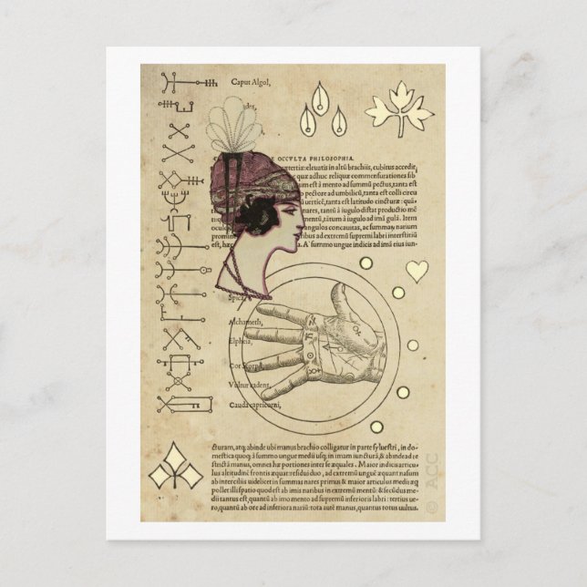 Gypsy Fortune Teller Postcard (Front)