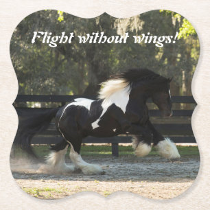 Gypsy Gold Gypsy Vanner Horse coasters